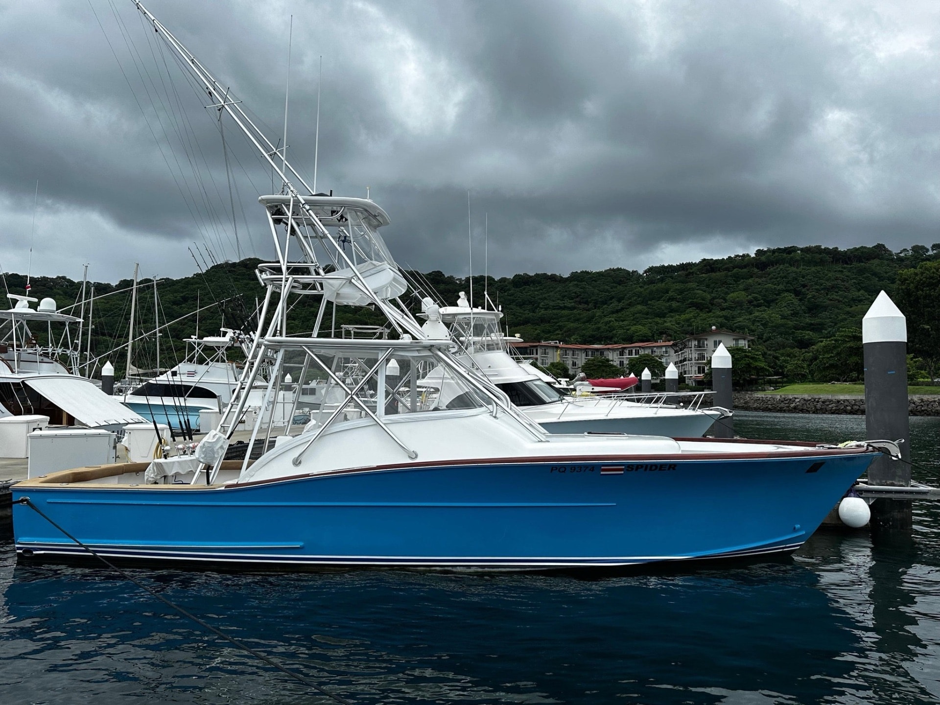 The Papagayo Elite: Private Sportfishing & Luxury Sunset Cruise from Papagayo