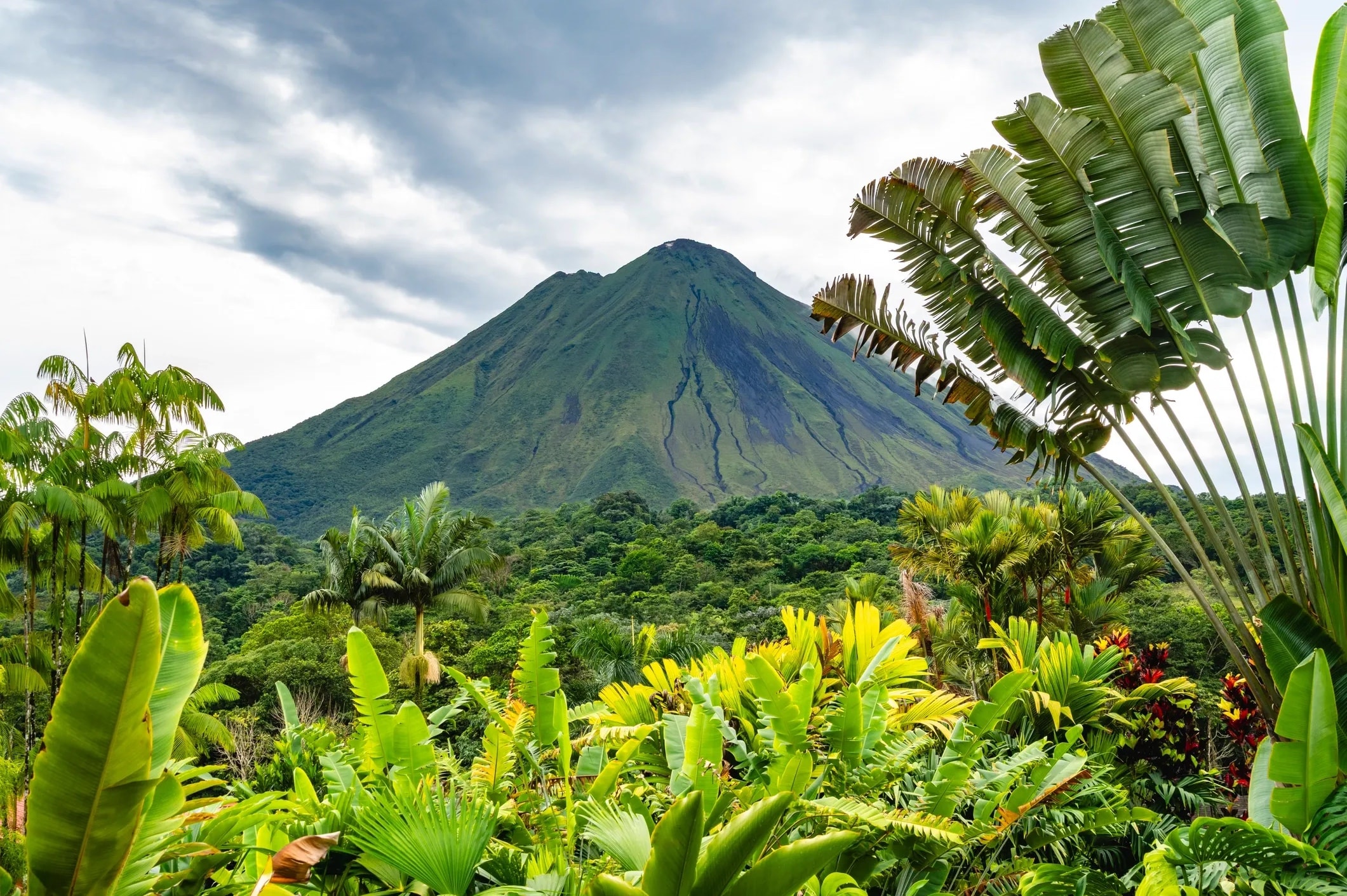 Arenal & Monteverde Express
